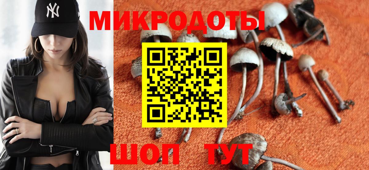 Галлюциногенные грибы прущие грибы  Псилоцибиновые грибы Psilocybine cubensis  Соликамск  Вход с VPN 